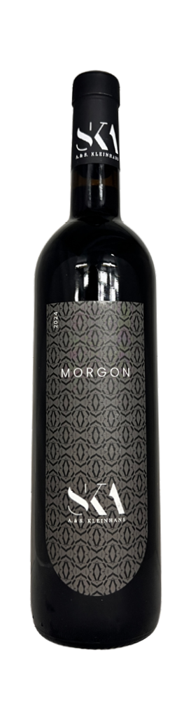 GFA DOMAINE SKA – 2025 2024